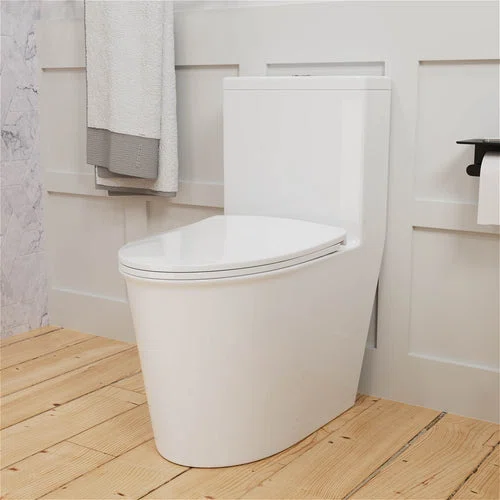 1.0/1.28 GPF Dual Flush One-Piece Skirted Toilet